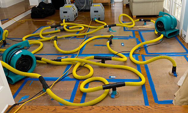 Professional Water Damage Restoration technician working in Maple, WI